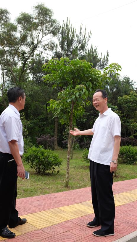 市委书记 李水华 到饶平县建饶镇检查指导 "文明镇街