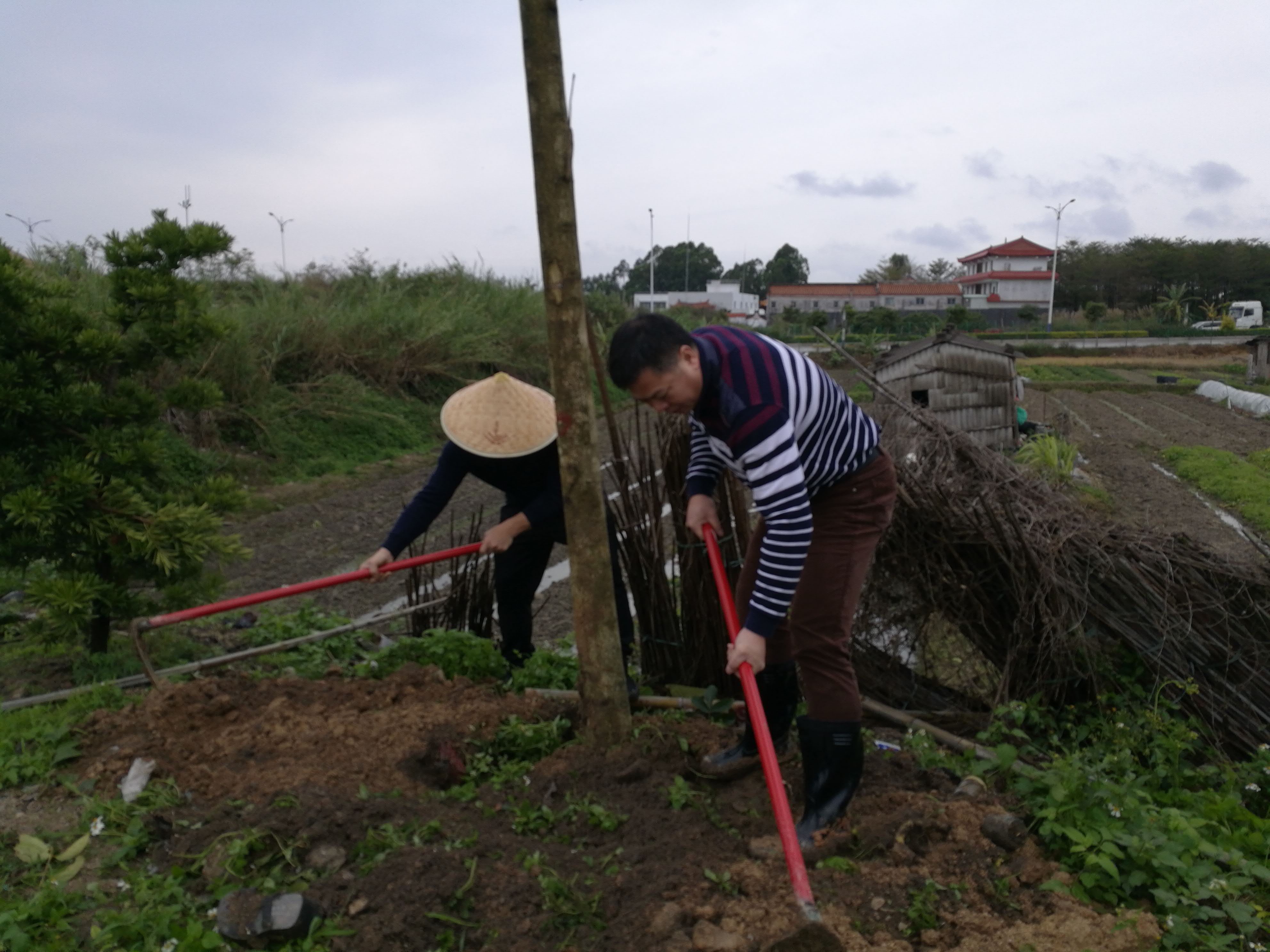 饶平黄冈人口镇_饶平黄冈(3)