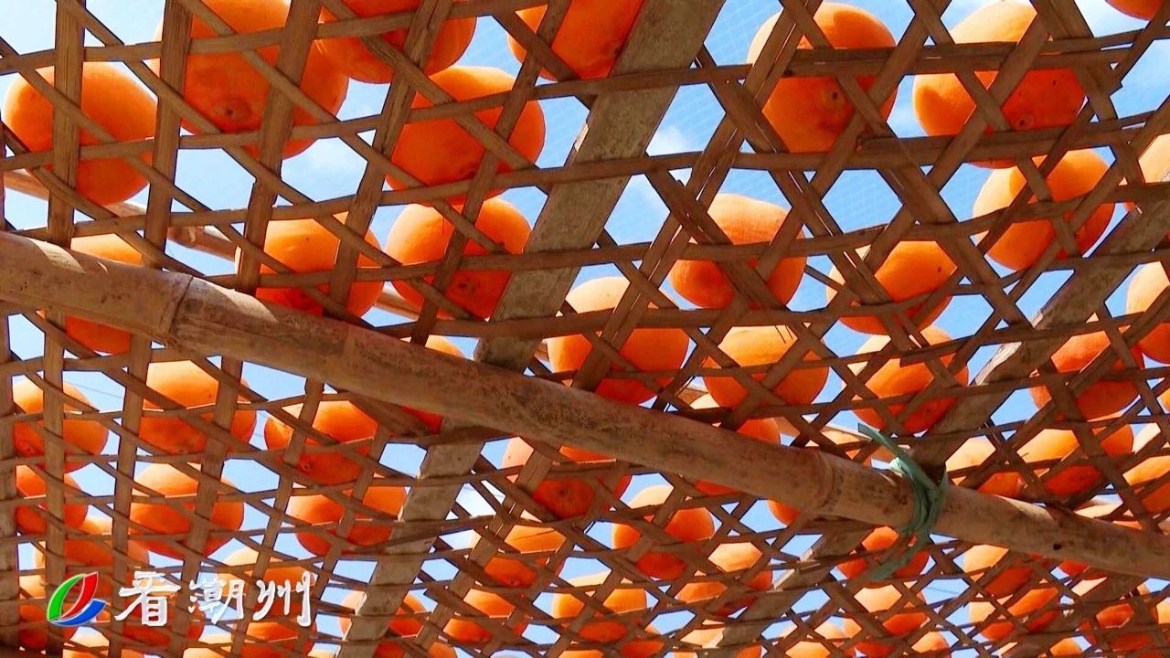 微信图片_20241209113624.jpg