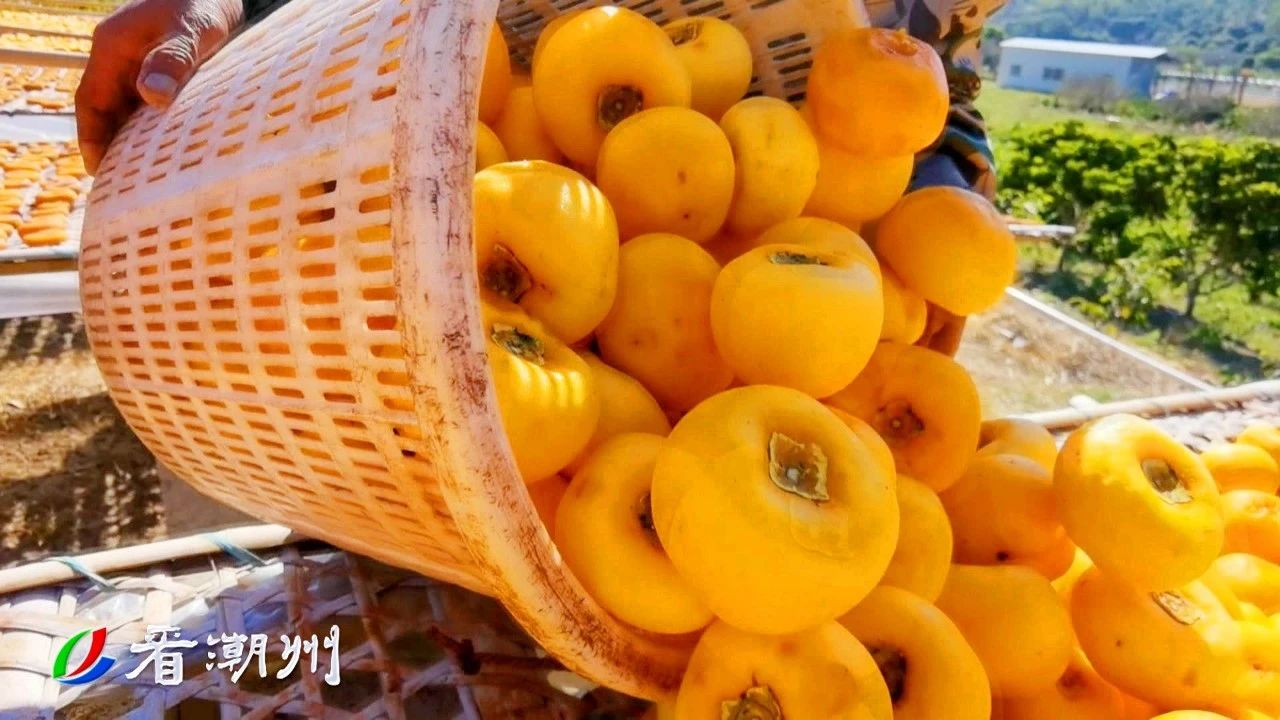 微信图片_20241209113708.jpg