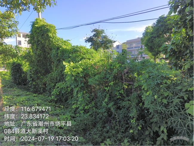 图片14.png